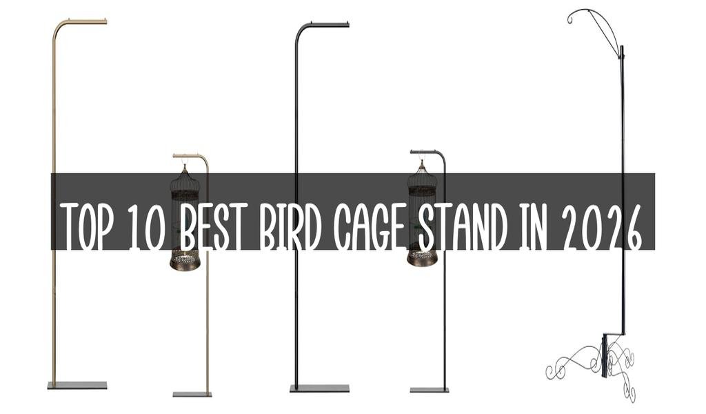 Top 10 Best Bird Cage Stand in 2026