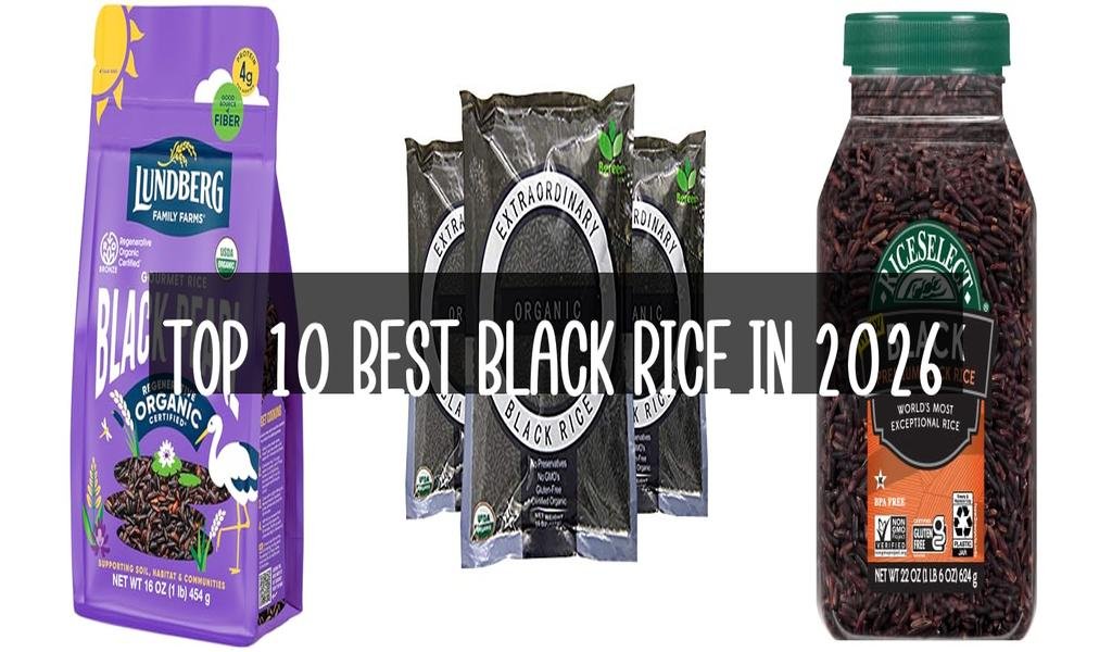Top 10 Best Black Rice in 2026