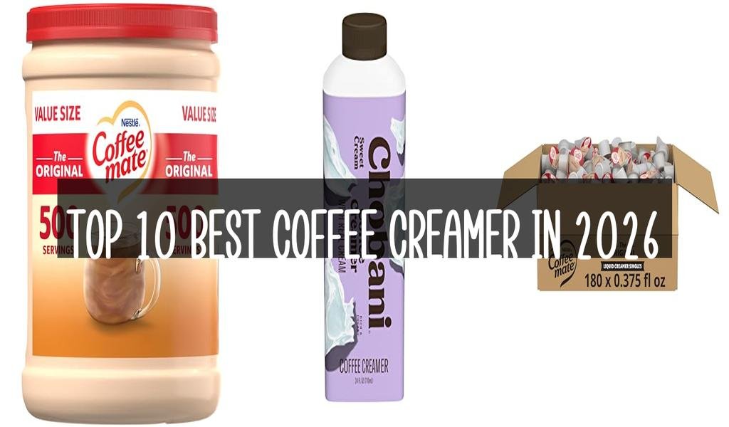 Top 10 Best Coffee Creamer in 2026